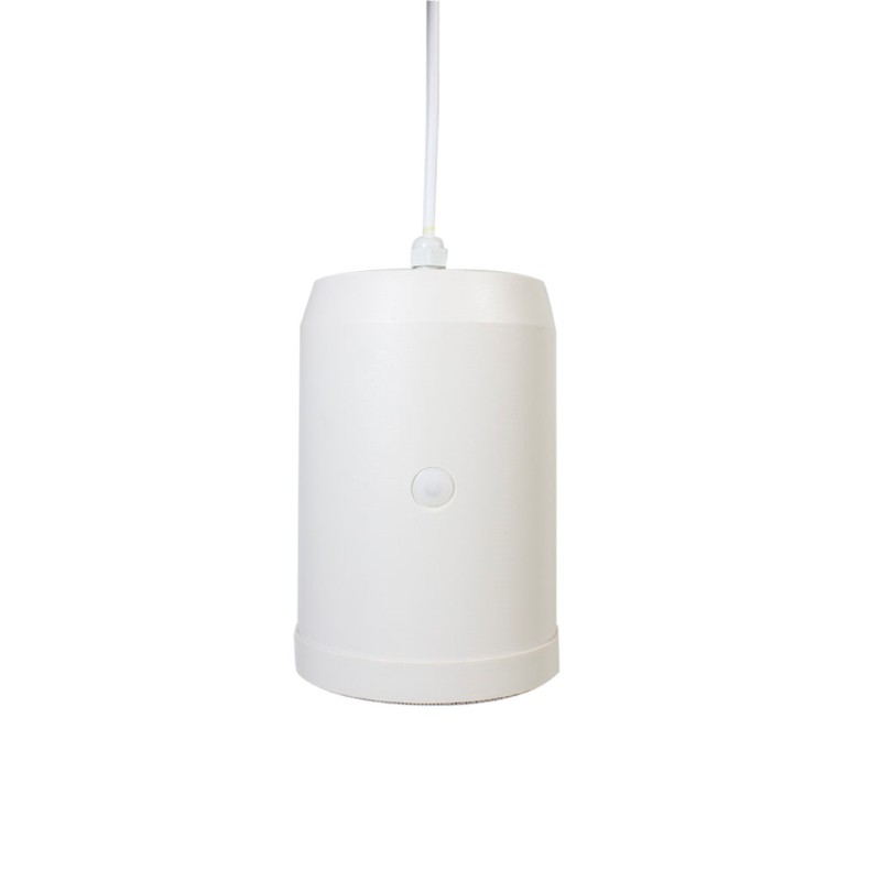 IP Pendant Speaker